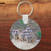 4 Meerkats Peering Schlüsselanhänger (Vorderseite)