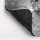 4 Monate alter Schneeleopardenbecher über einen Fe Mousepad (Ecke)