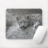 4 Monate alter Schneeleopardenbecher über einen Fe Mousepad (Mit Mouse)