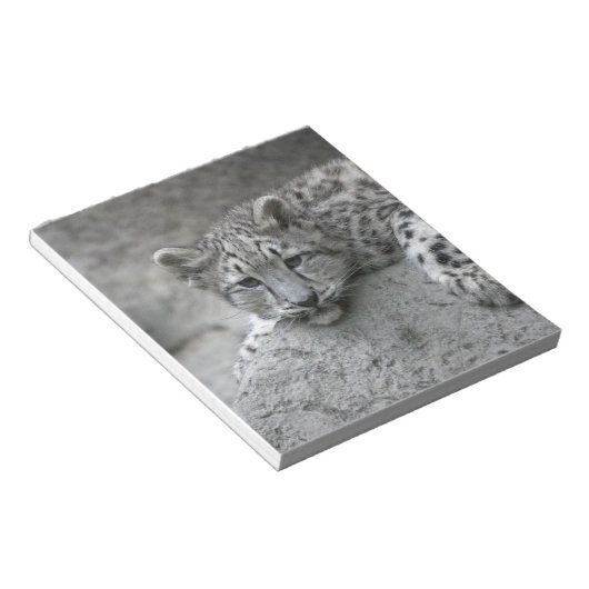 4 Monate alter Schneeleopardenbecher über einen Fe Notizblock (angewinkelt)