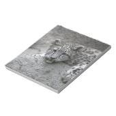 4 Monate alter Schneeleopardenbecher über einen Fe Notizblock (Rotiert)