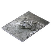 4 Monate alter Schneeleopardenbecher über einen Fe Notizblock (Linke Seite)