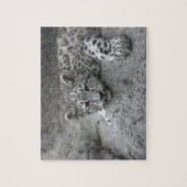 4 Monate alter Schneeleopardenbecher über einen Fe Puzzle (Vertikal)