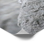 4 Monate altes Schneeleopardenjunges liegt über ei Poster (Ecke)