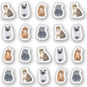 4 Niedliche Katzen 20 Aufkleber (Vorderseite)