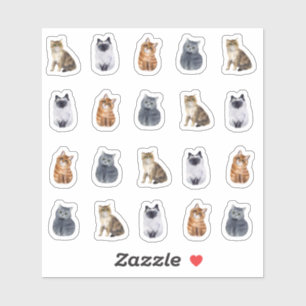 4 Niedliche Katzen 20 Aufkleber