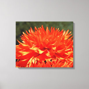 4 Panel Artwork Leinwand Orange Dahlia Blume
