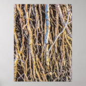 4 Print, Poster Paper (Halbglanz) (Vorne)