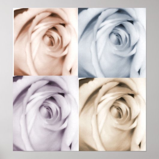 4 ROSE POSTER (Vorne)