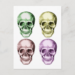 4 Skulls sind GesichtFarben Postkarte