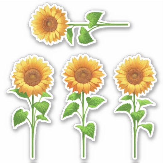 4 Sonnenblumen-Aufkleber (hell) Aufkleber (Vorderseite)