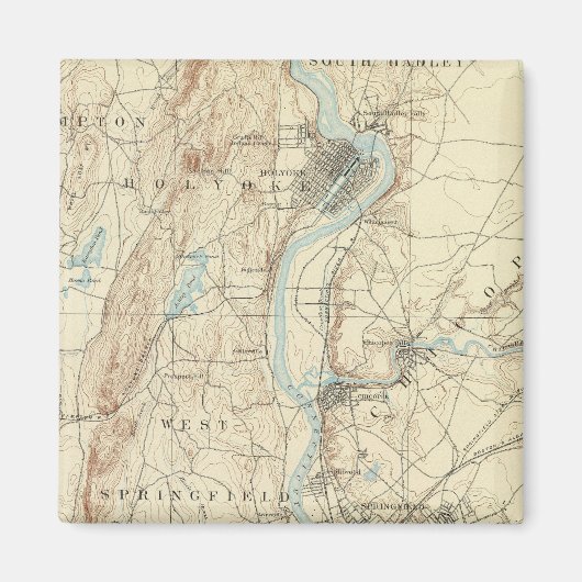 4 Springfield-Blatt Magnet (Vorne)