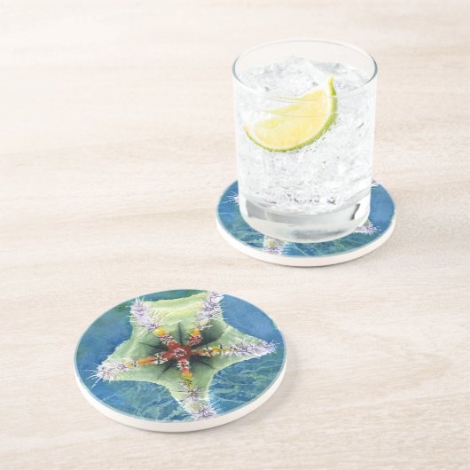 4 Stern-Fisch-Untersetzer Getränkeuntersetzer (Seite)