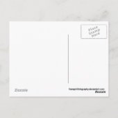 4 ÜBERHAUPT meine Liebe Postkarte (Rückseite)