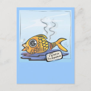 4 Verkauf - 1 (gebraucht) Goldfisch Postkarte