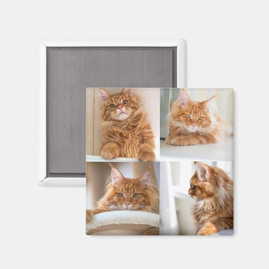 4 Vier Fotomaterial Vollständig Magnet (Vorderseite/Rückseite)