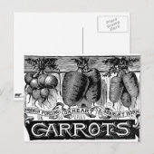 4 Vintage Karotten anzeigen Postkarte (Vorne/Hinten)