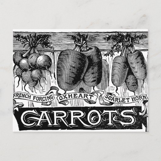 4 Vintage Karotten anzeigen Postkarte (Vorderseite)