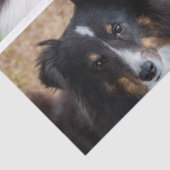 4 Vorlage und Text für benutzerdefinierte Fotos Seidenpapier (Detail)