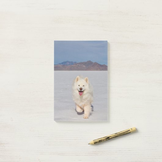 4"x6" Nachhinweise - Salzlatten Post-it Klebezettel (Auf Schreibtisch)