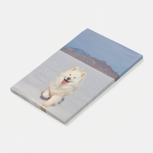 4"x6" Nachhinweise - Salzlatten Post-it Klebezettel (angewinkelt)