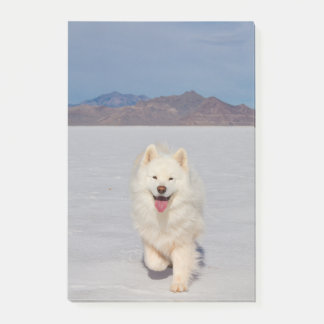 4"x6" Nachhinweise - Salzlatten Post-it Klebezettel