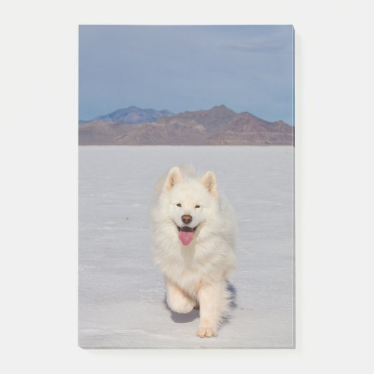 4"x6" Nachhinweise - Salzlatten Post-it Klebezettel (Vorderseite)