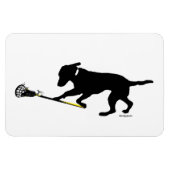 4"x6" Schwarzes Lab Lacrosse spielen Magnet (Horizontal)