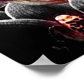 4 x 5 Verhältnis Schwarz Orchid Print Img5459 Poster (Ecke)