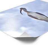 4 x 6 Foto Kranich (Ecke)