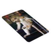 4 x 6 Kühlschrankmagnet mit Affe und Slogan Magnet (Rechte Seite)