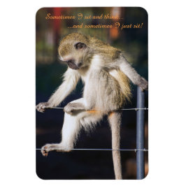 4 x 6 Kühlschrankmagnet mit Affe und Slogan Magnet