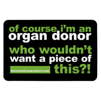 4 x 6 Magnet - für Ihren Kühlschrank oder Ihr Auto