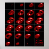 4d-Torus-Fliegenquerschnitt Poster (Vorne)