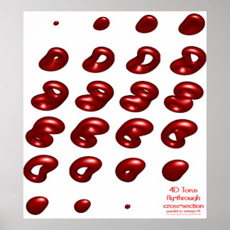 4d-Torus-Fliegenquerschnitt Poster