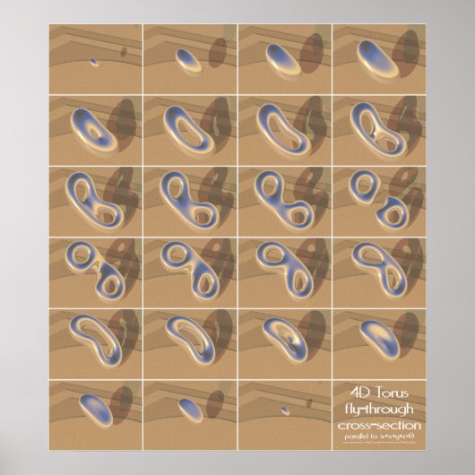 4D torus fly-through cross-section Poster (Vorne)