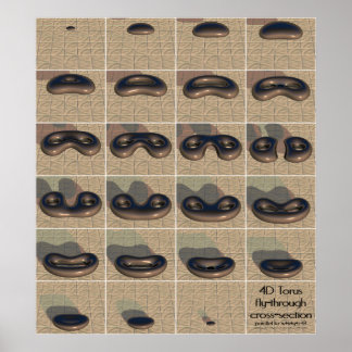 4D-Torus-Kreuzung Poster