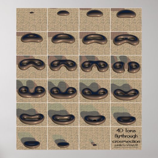 4D-Torus-Kreuzung Poster (Vorne)