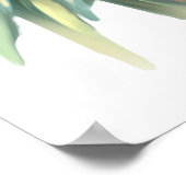 4pandas und eine Wassermelone Poster (Ecke)