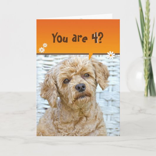 4th birthday brown poodle on wicker karte (Vorderseite)