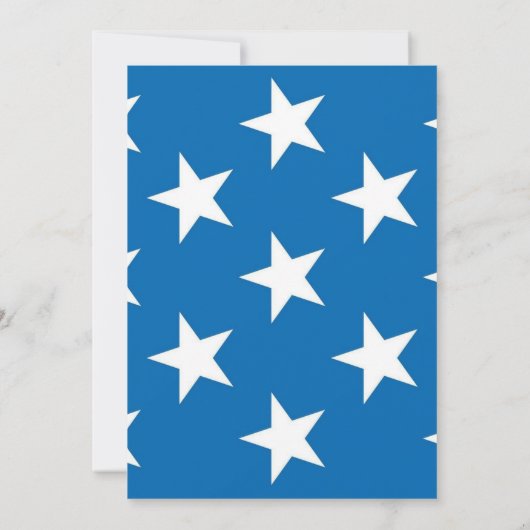 4th of July Independence Day BBQ Fireworks  Einladung (Rückseite)