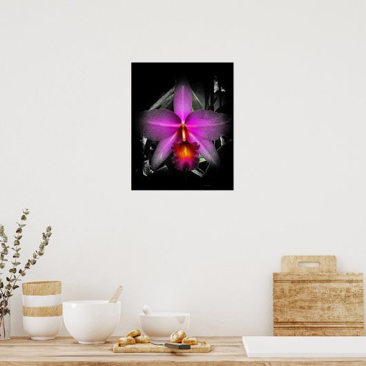 4x5 Verhältnis Schwarz Orchid Print Img5506 Poster (Küche)