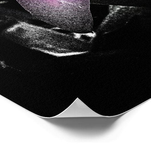 4x5 Verhältnis Schwarz Orchid Print Img5506 Poster (Ecke)