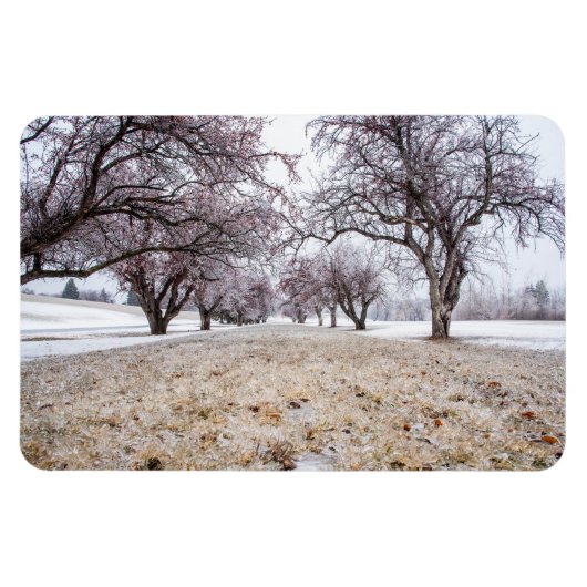 4x6 Flachbildschirm Magnet (Horizontal)