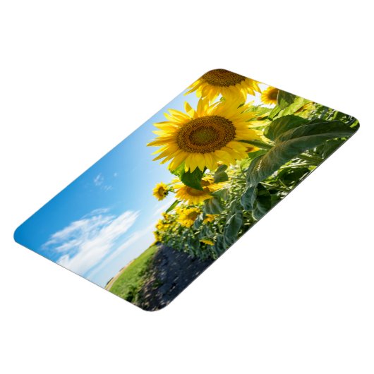 4x6 Flachbildschirm Magnet (Linke Seite)