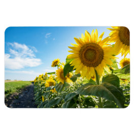 4x6 Flachbildschirm Magnet