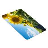 4x6 Flachbildschirm Magnet (Rechte Seite)