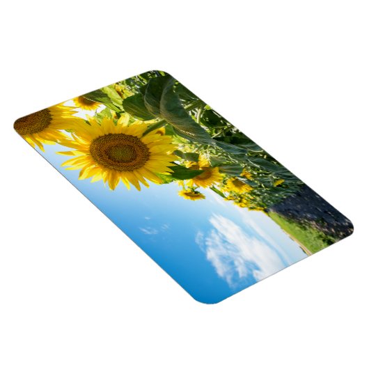 4x6 Flachbildschirm Magnet (Rechte Seite)