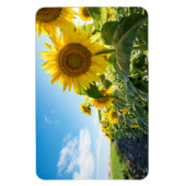 4x6 Flachbildschirm Magnet (Vertikal)