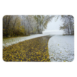 4x6 Flachbildschirm Magnet
